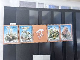 Briefmarken Jugoslawien Pilze, 5er Block, Top Zustand!