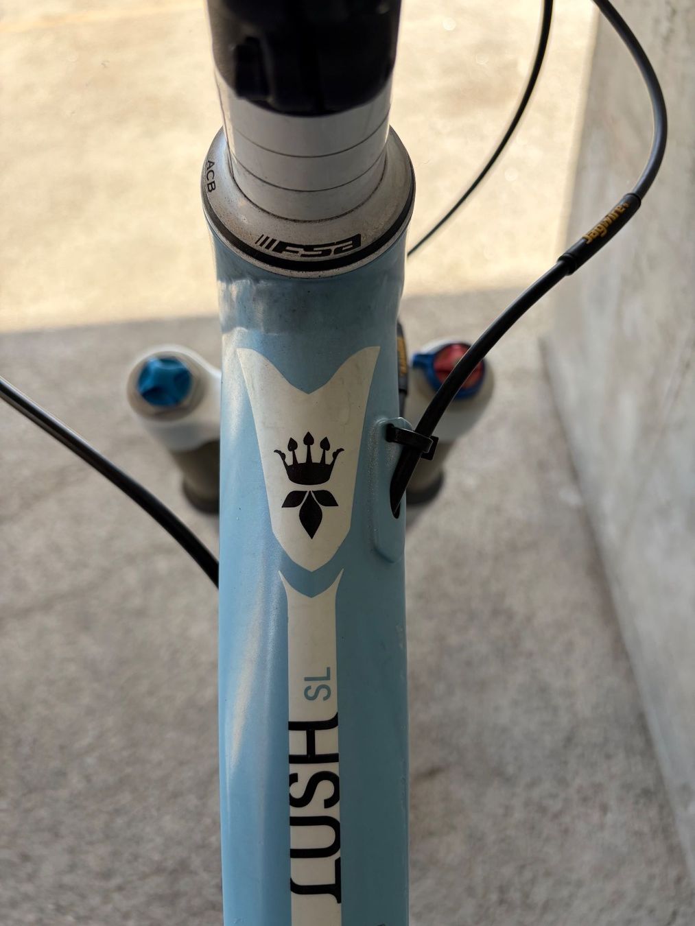 Trek Biciclette: Vélo Trek Lush SL - Taille S – Usato da Tschugg venduto da Viking93 4