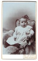 Fotografie Ph., E. Link, Zürich, Marktg