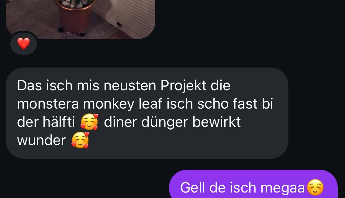 Pflanzen & Samen: Extrem guter Profidünger für alle Zimmerpflanzen – Neu und originalverpackt aus Wattwil von Mikesplantshop 3