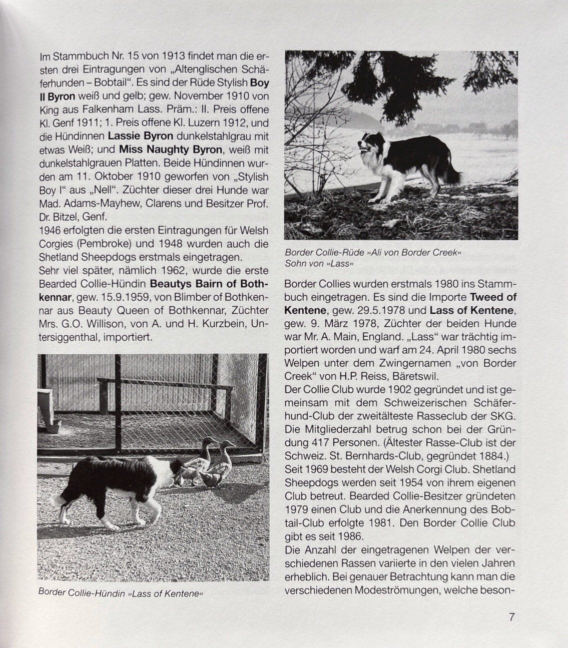 Libri: Müller Barbara, Britische Hütehunde – Nuovo (secondo la descrizione) da Sarnen venduto da Livres 6