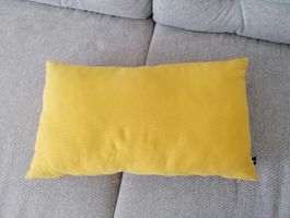 Nice Yellow Sofa Cushion 
