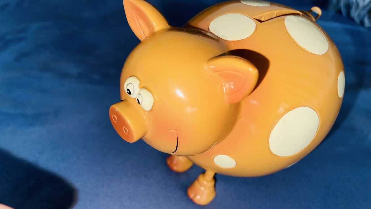 Salvadanai: Süsses Sparschwein – Usato da Schönenbuch venduto da hug_f2ny 1