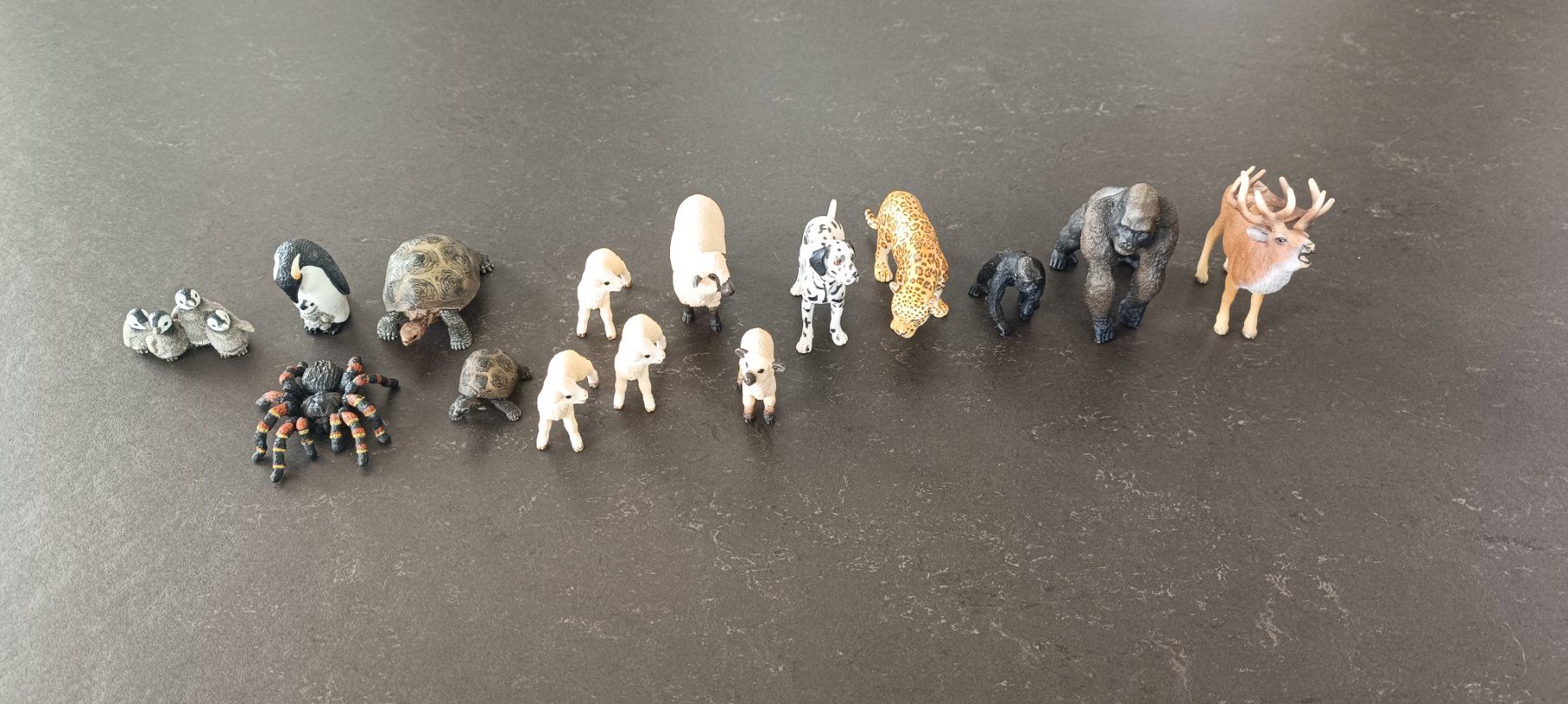 Schleich Giocattoli: Diverse Schleich Tiere – Usato da Faoug venduto da Palm0