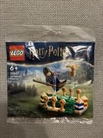 LEGO Harry Potter 30651 Quidditch Practice neu OVP