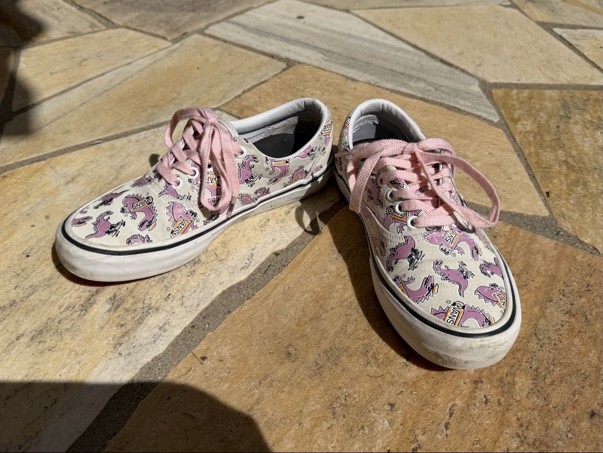 Vans Herrenschuhe: Vans 38,5 gamme pro cuir daim – Gebraucht aus Founex von Hyrienne 1