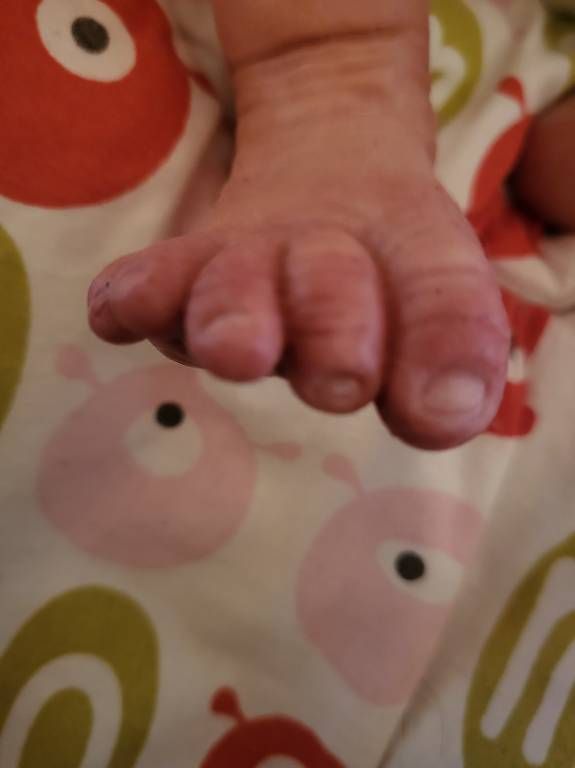 Reborn Bambole: Reborn Teilsilikonbaby Callie – Usato da Reigoldswil venduto da Gigelino 1