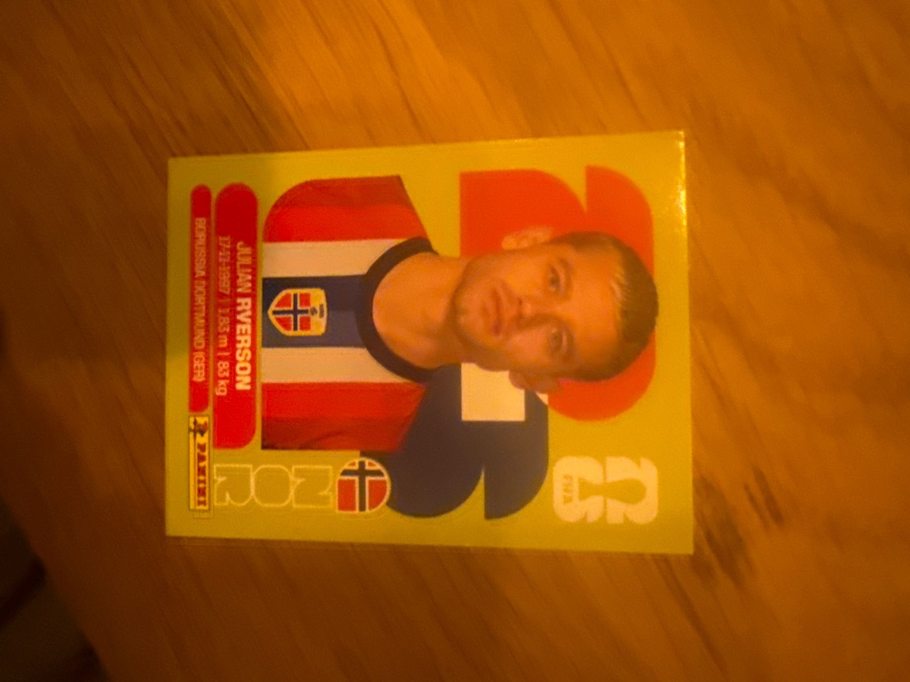 Panini Carte collezionabili: Panini – Usato da Langnau i. E. venduto da Acrjl