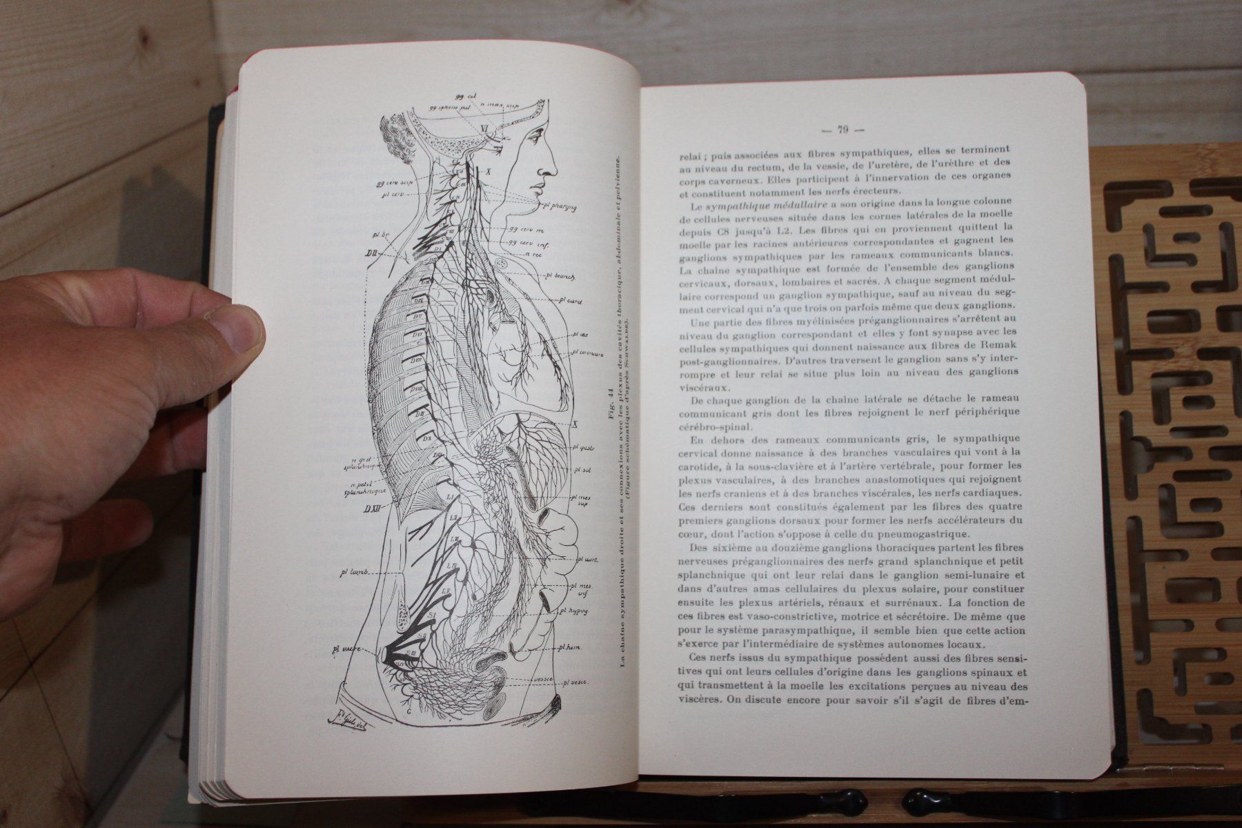 Libri: Les Maladies Nerveuses - A. van Gehuchten 1951 – Usato da Kaden venduto da Buchantiquariat 3