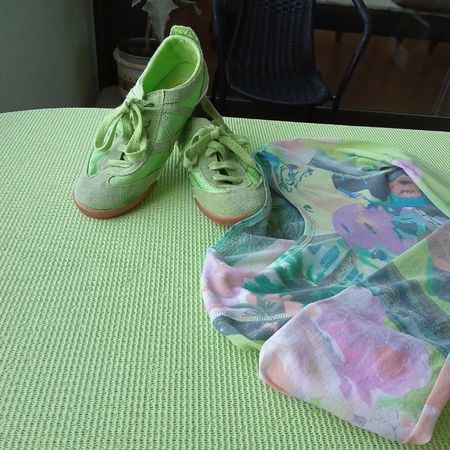 Set:  ein Hauch von Da.-Shirt mit farblich passendem Schuh