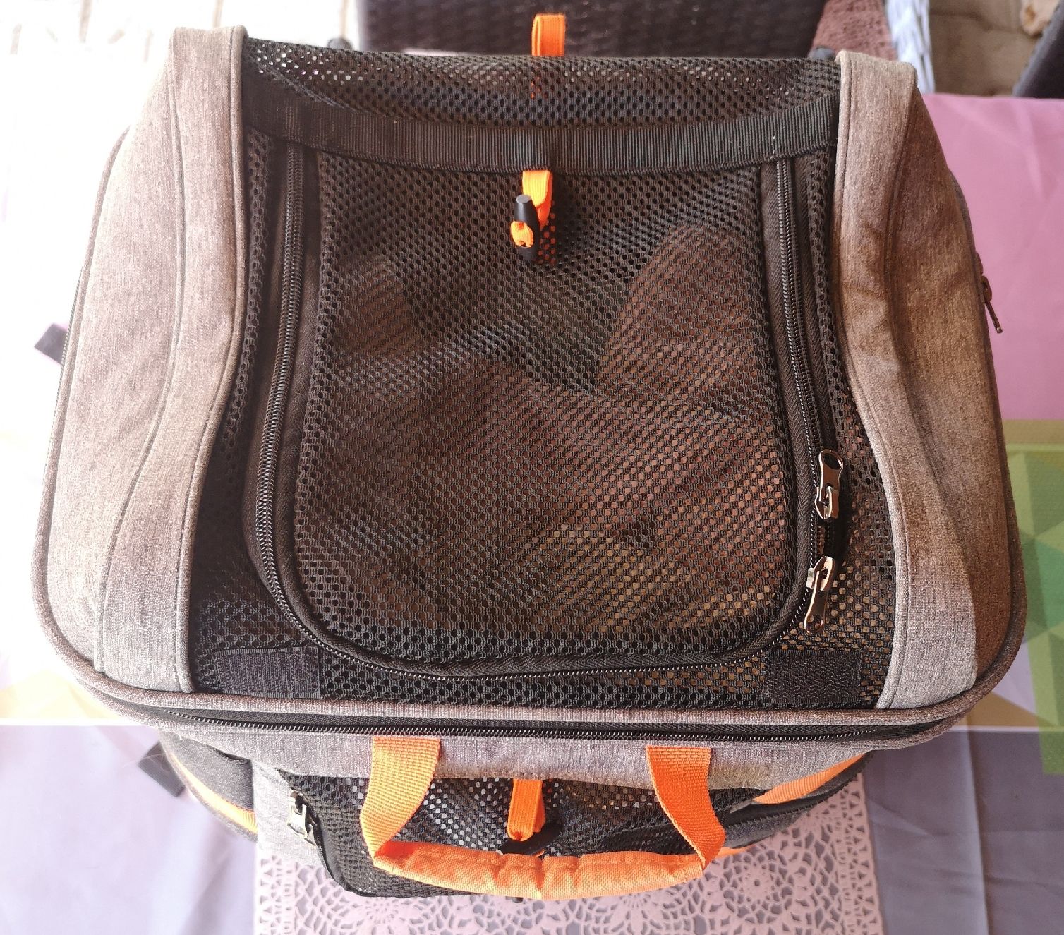 Zaini: robuster Hunderucksack - Spendenaktion – Nuovo (secondo la descrizione) da Unterkulm venduto da Beljasch 3