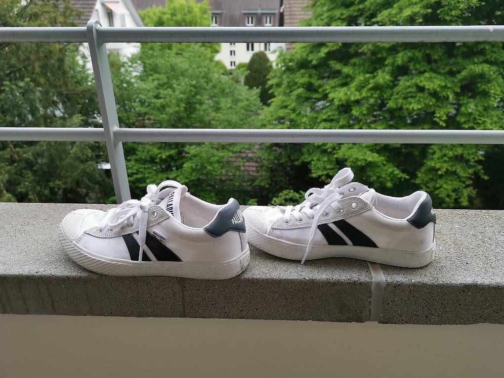Palladium Scarpe da donna: Palladium Damenschuhe Sneakers 37 – Nuovo (secondo la descrizione) da Thun venduto da yannisgu 3