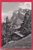 GRINDELWALD, WETTERHORN 3703m