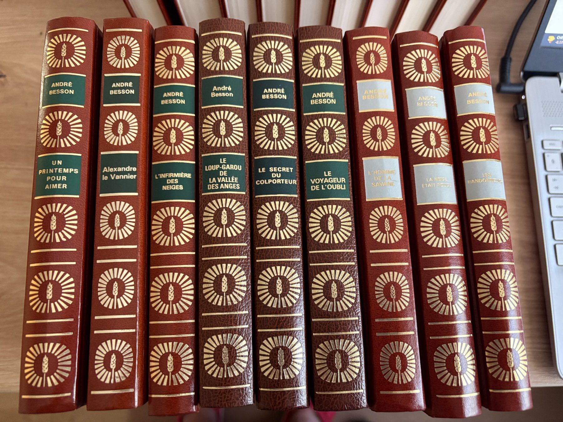 Libri: Collection de 18 romans d'André Besson – Nuovo (secondo la descrizione) da Fully venduto da feline01 2