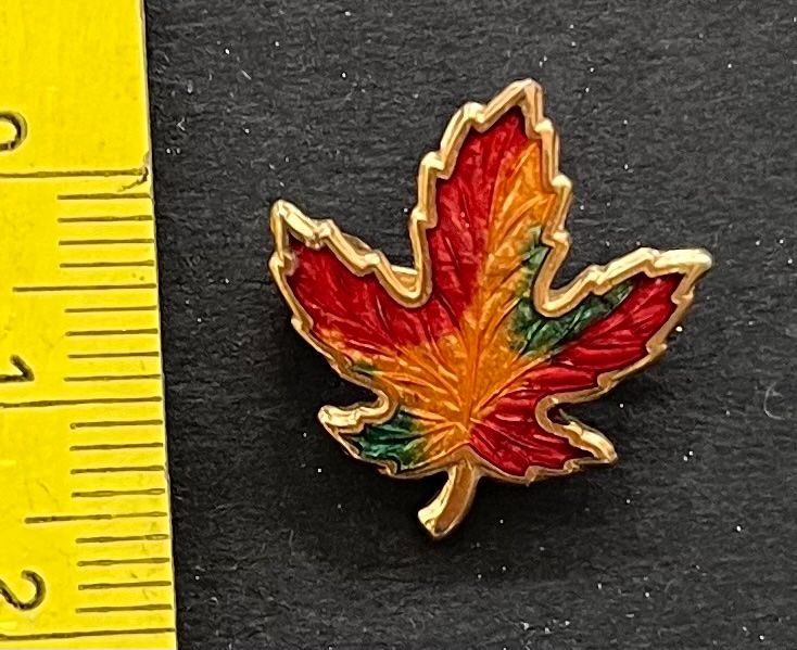 Plaquettes & Badges: Herbstblatt, Anstecker – D'occasion à Wabern par DaxKarten-75