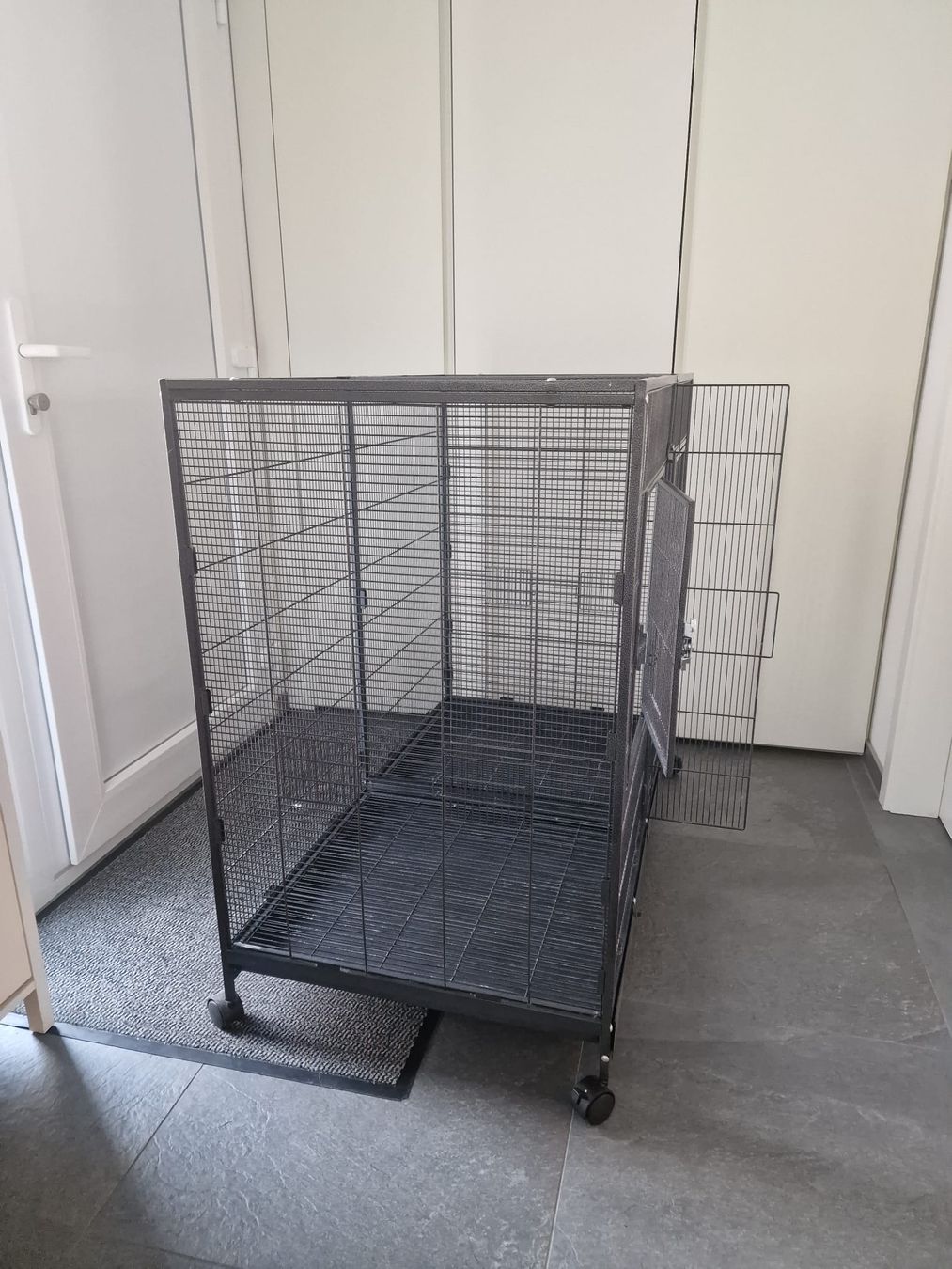 Cages, transport & sécurité: Cage à oiseaux  – D'occasion à MARACON par mac_c6v2 2