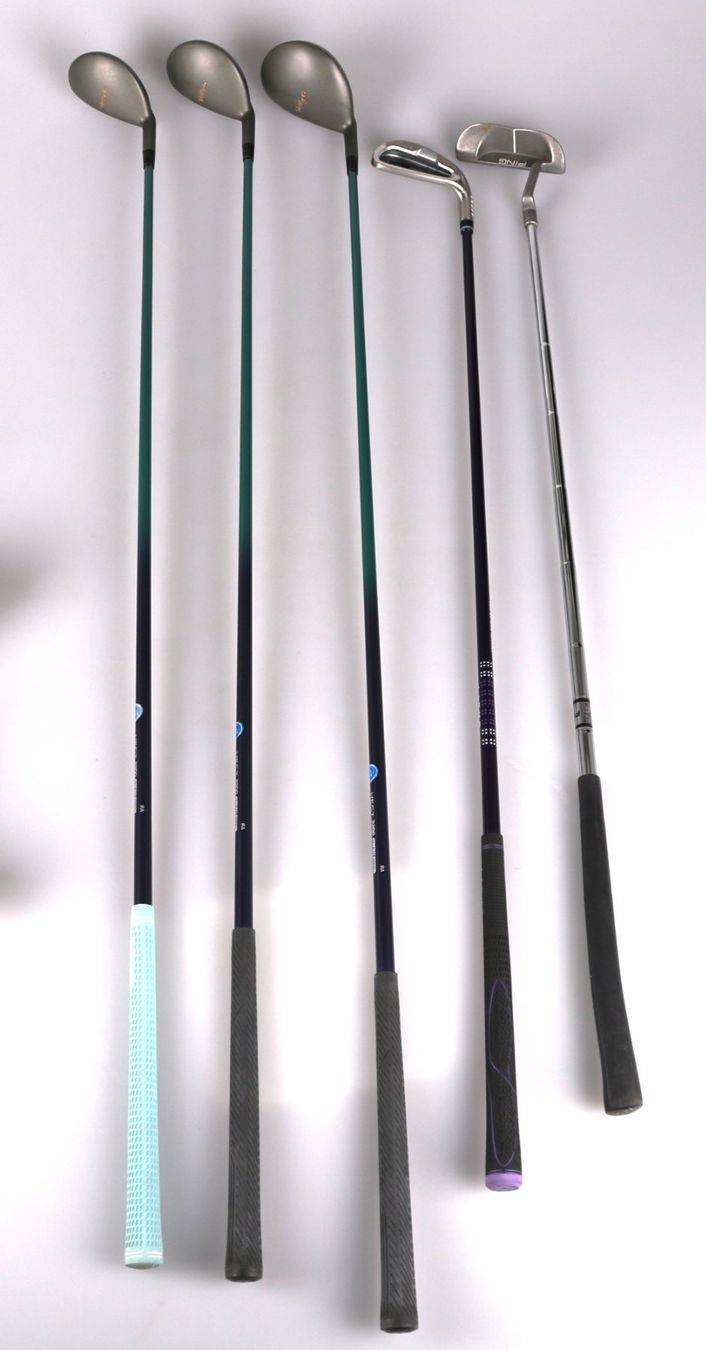 Mazze & Set: Golftasche mit Golfschläger – Usato da Volketswil venduto da brockipfannenstil 7