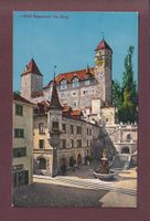 RAPPERSWIL - Die Burg