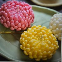 Seifen-Kerzen Silikonform Mold / Blume / Flower / Aster