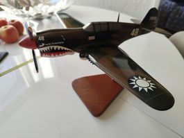 P-40 Warhawk, Flying Tigers, Holzmodell, Top Zustand ab 1Fr
