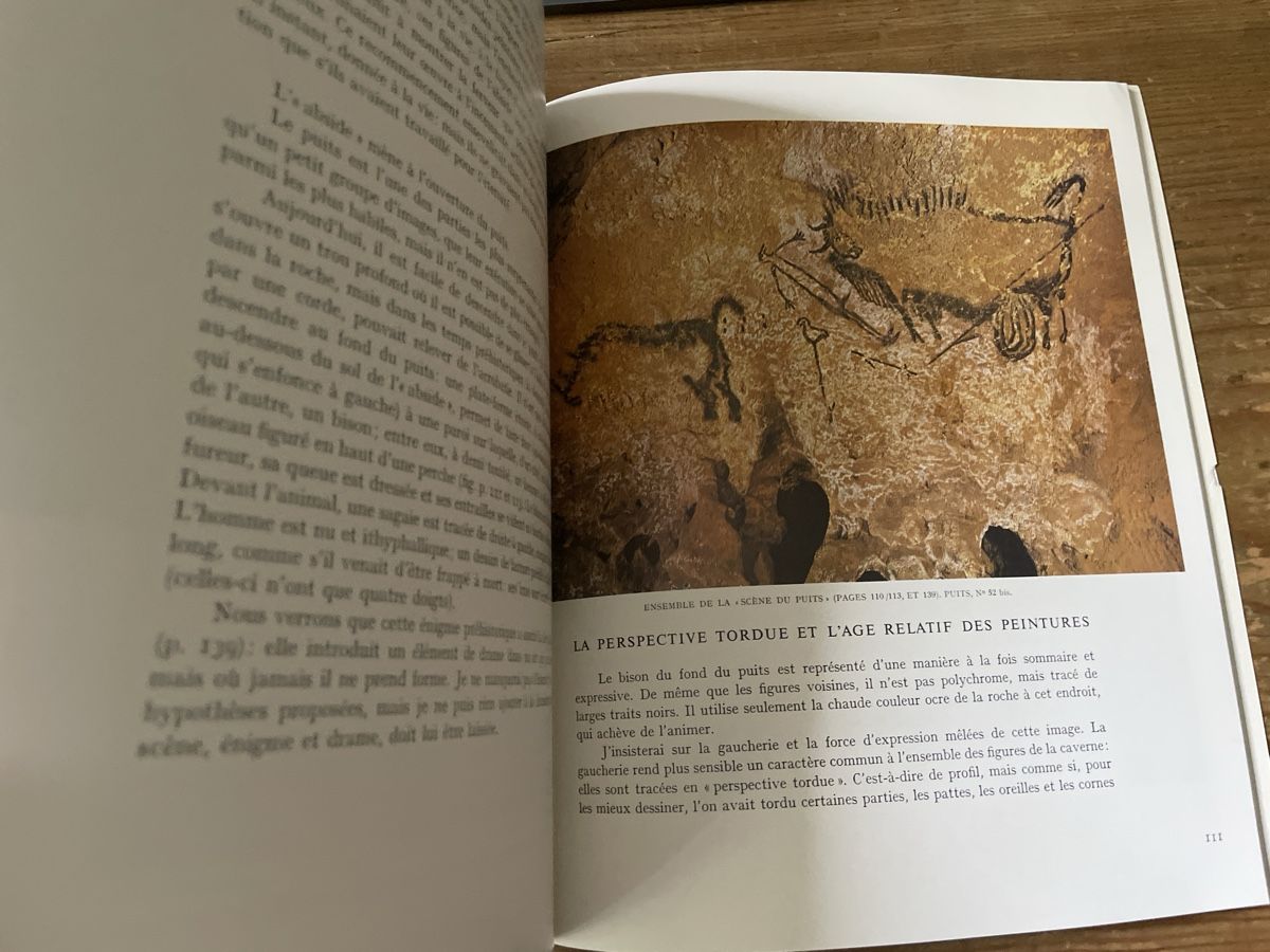 Libri: Kunstkatalog Lascaux Skira 1992 – Usato da Winterthur venduto da cheerio97 7