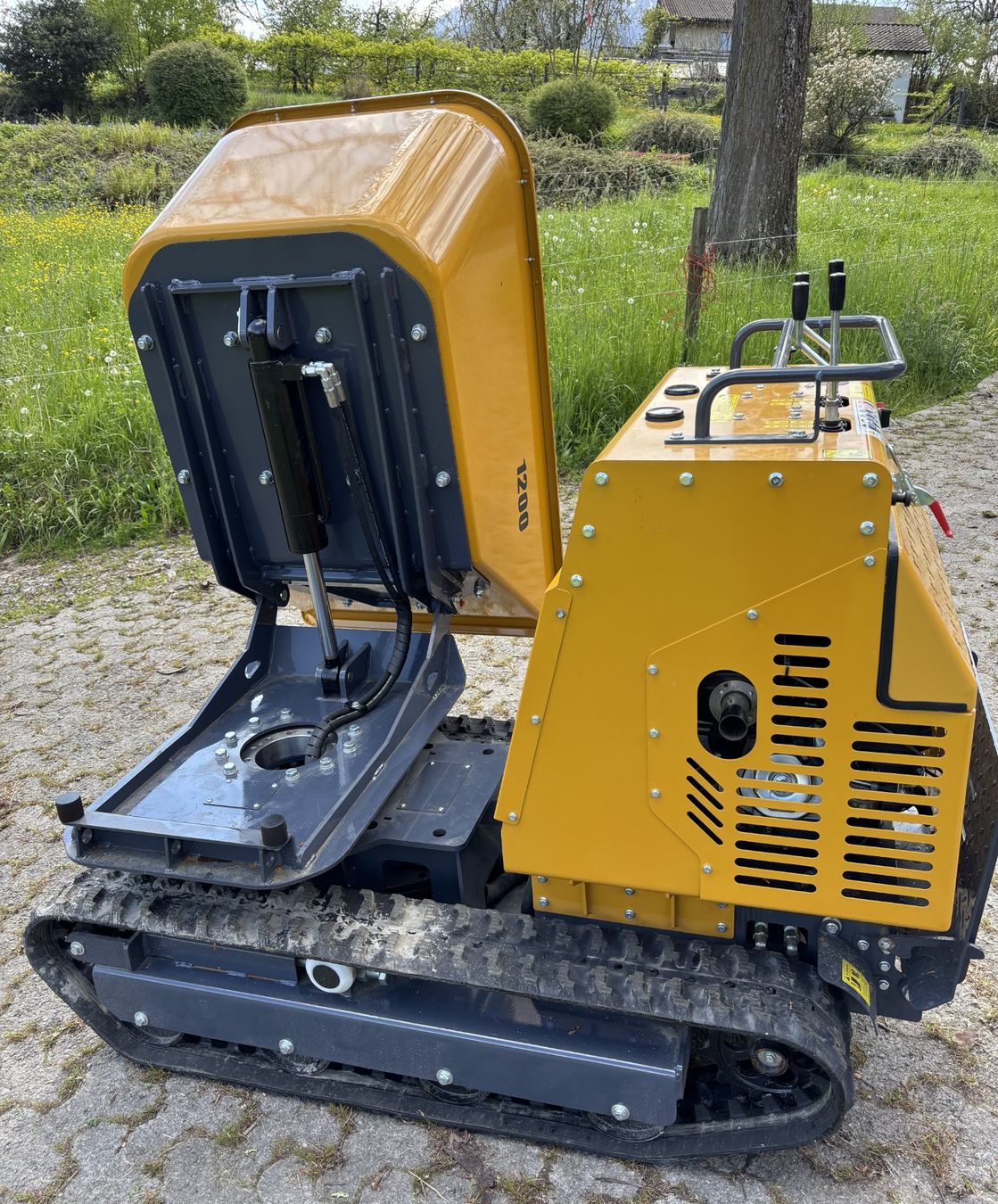 Alle Maschinen: Raupendumper hydrostatisch Nutzlast 1000 kg – Neu (gemäss Beschreibung) aus Kastanienbaum von acapulco 5