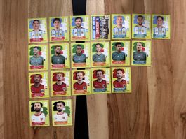 Panini WM 2026 Gruppe J