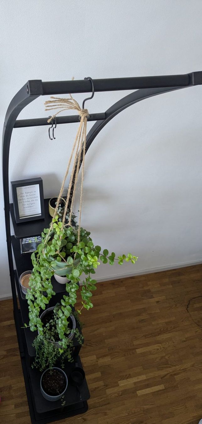 Scaffali: Regal – Usato da Burgdorf venduto da hof_jh7j 1