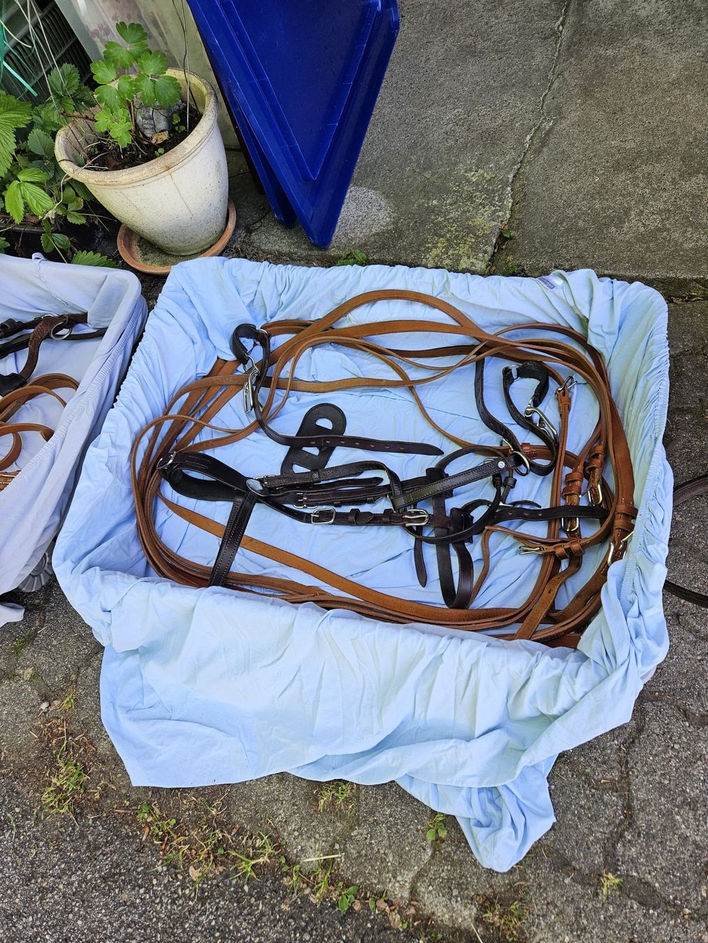 Briglie & Cavezze: Esel / Pferd3 geschirr Leder braun  – Usato da Winterthur venduto da Winti1993