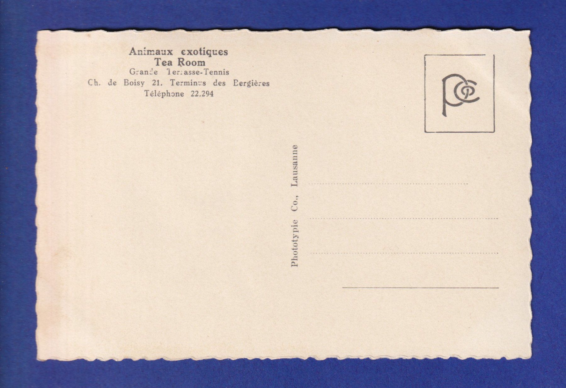 Cartoline postali: SINGE - Japon – Usato da Pully venduto da nicecards-shop 1