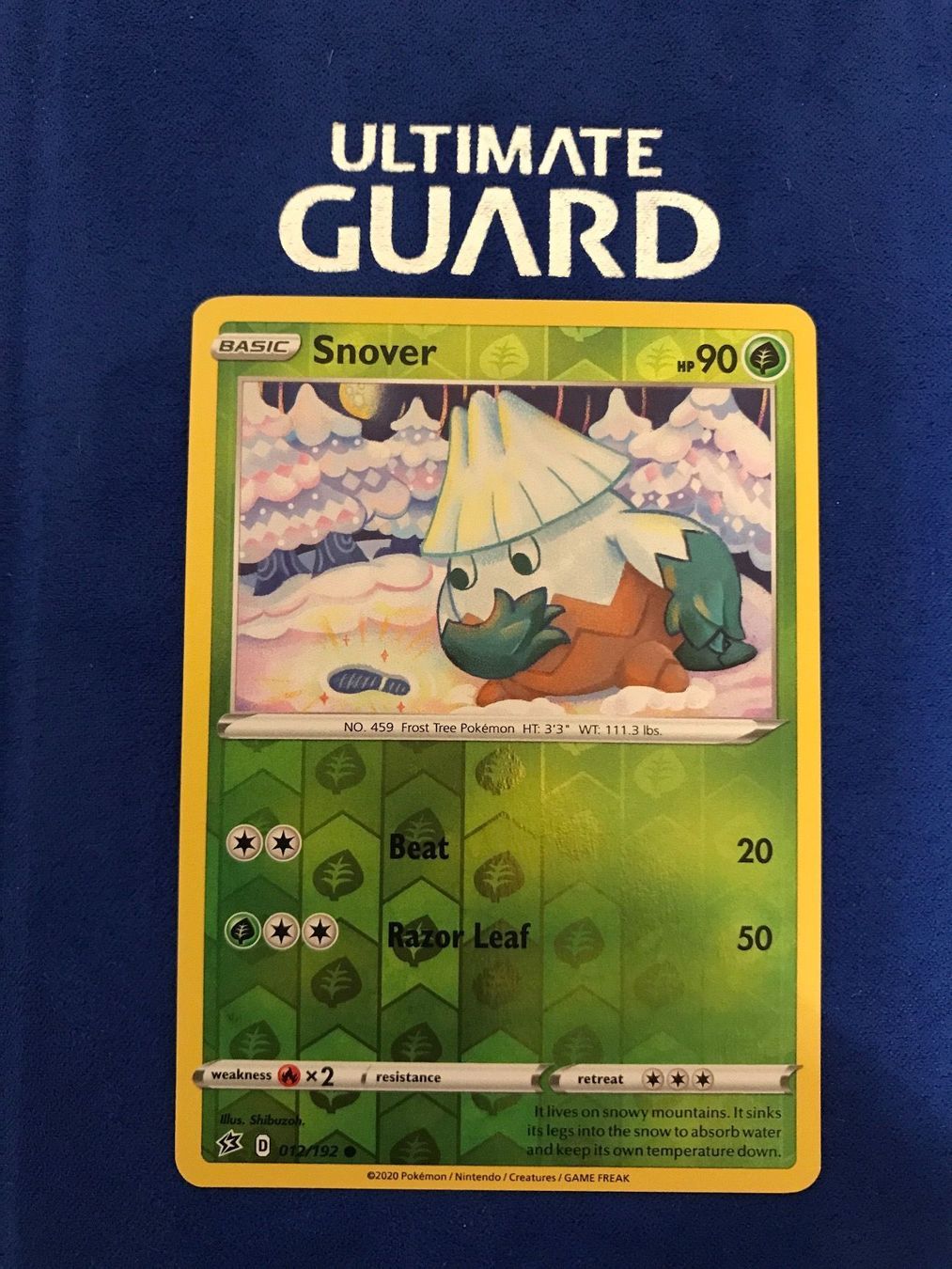 Pokémon Carte collezionabili: Pokemon TCG - Snover EN reverse Holo – Nuovo (secondo la descrizione) da Lyss venduto da DeaDiLuna