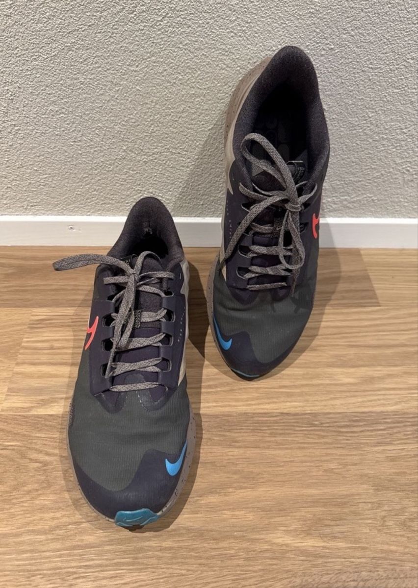 Nike Scarpe da uomo: Nike Pegasus – Usato da Corpataux venduto da seniz 1