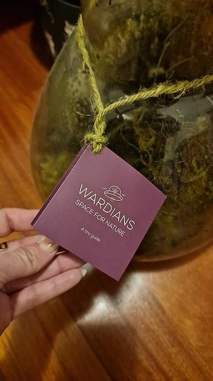 Lampade: Moos Terrarium Wardians – Usato da Meggen venduto da mar_rb27