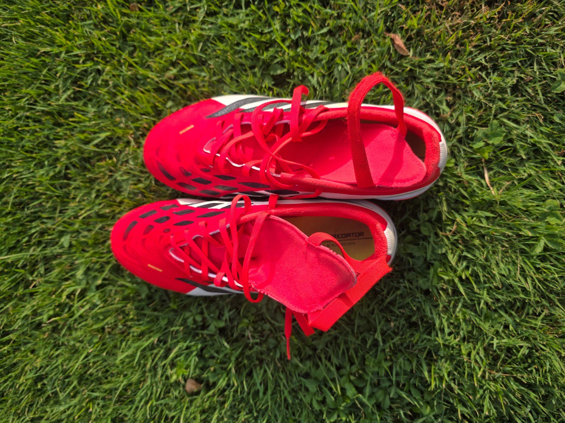 Adidas Chaussures garçon: Predator Nockenschuhe (wie neu) – D'occasion à Brunnen par Larson007