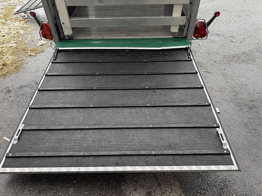 Daltec Rimorchi: Daltec Drival VT Tiertransport – Usato da Eriz venduto da mao_x2dr 3