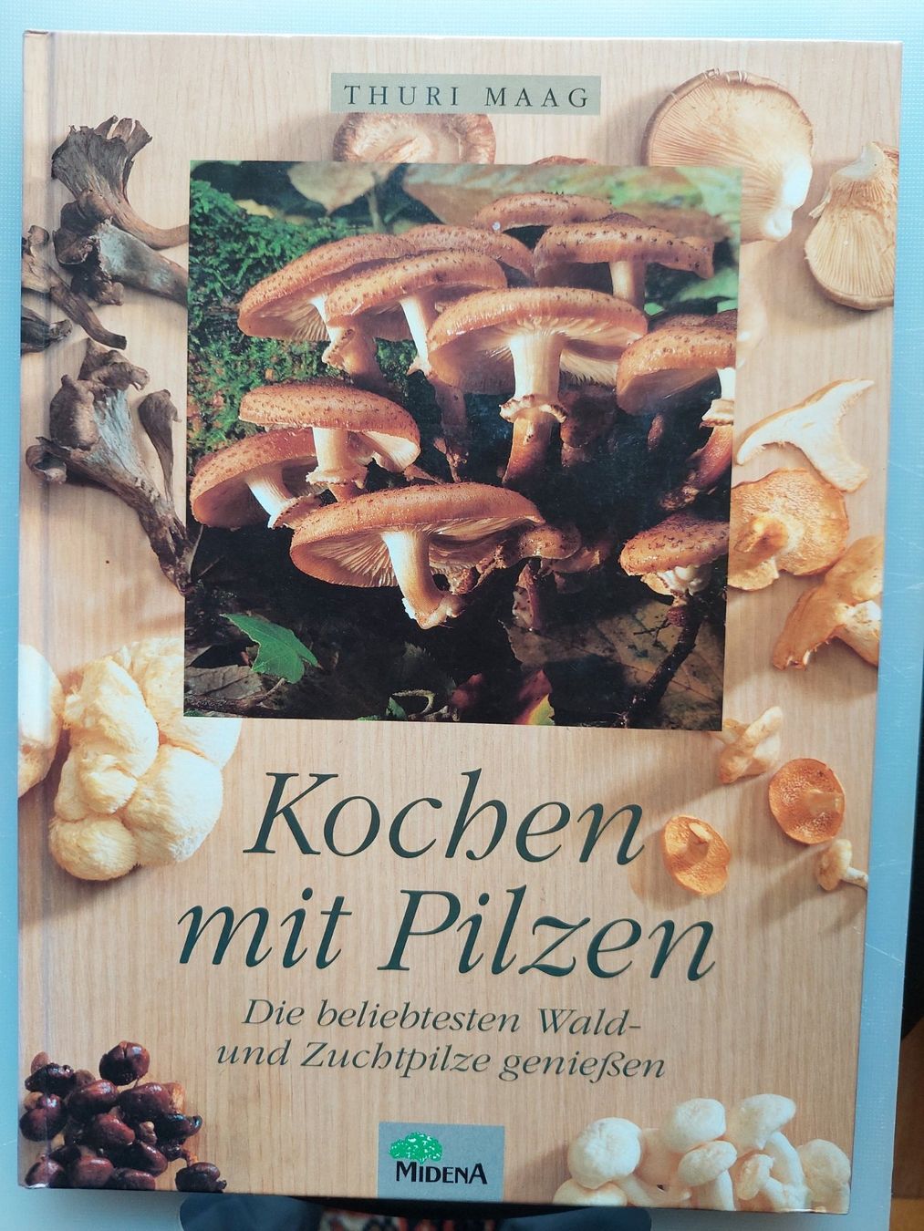Bücher: Kochen mit Pilzen – Neu (gemäss Beschreibung) aus Schachen b Herisau von Locophon