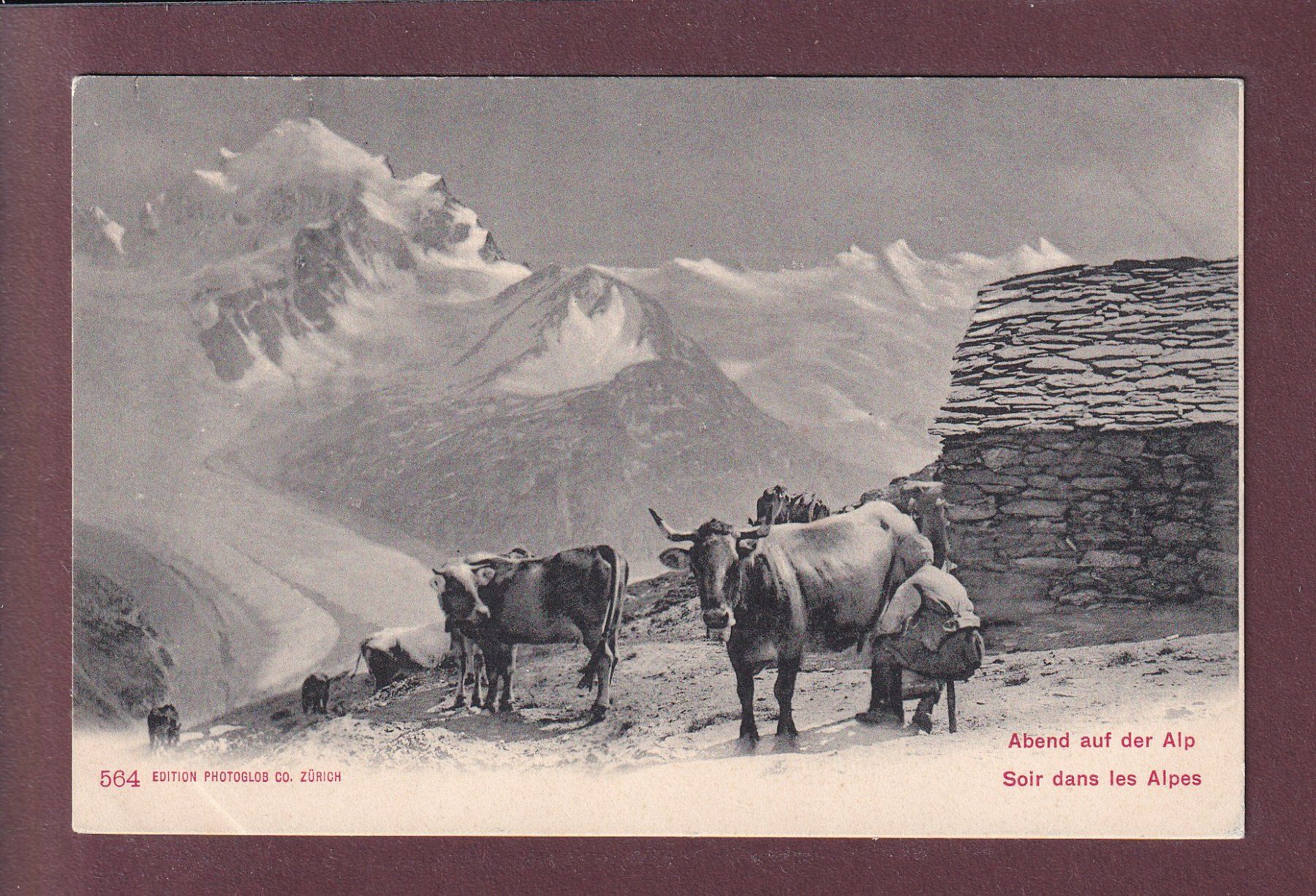 Cartoline postali: Dans les ALPES - Traite des vaches – Usato da Pully venduto da nicecards