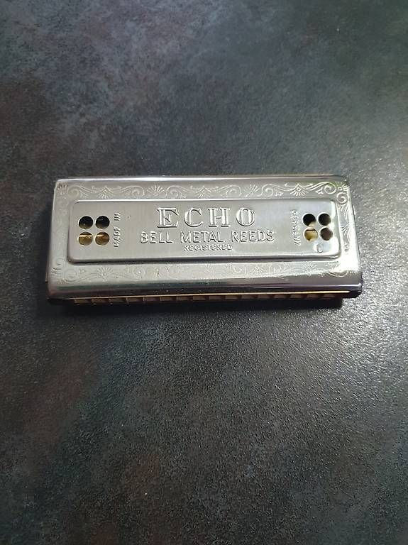 Strumenti musicali: The Echo Harp M.Hohner – Usato da Rieden AG venduto da Wirth03 2