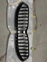 BMW 8er Frontziergitter Original