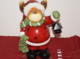 Weihnachtselch leuchtet:-)
