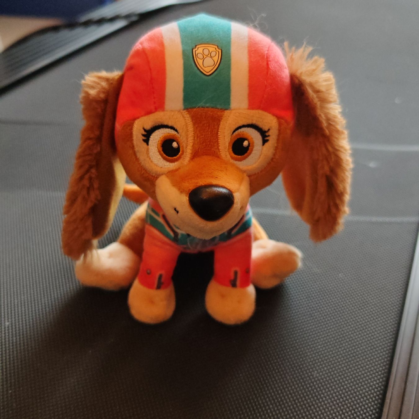 Giocattoli: Paw Patrol Stofftier Liberty – Nuovo (secondo la descrizione) da Seon venduto da Rambo811