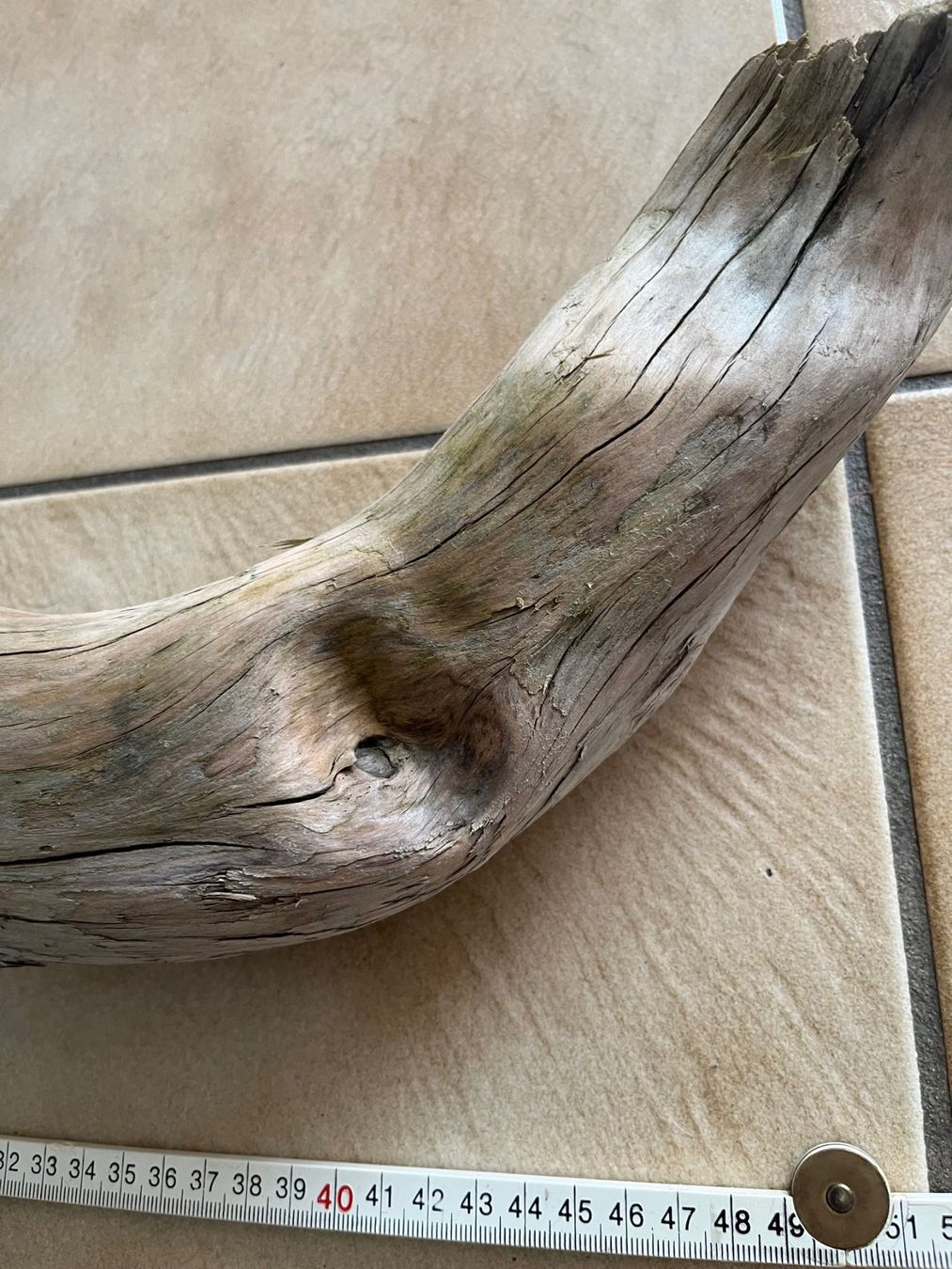 Alle Dekorationen: Pièce de bois flotté, branche d'arbre, décoration – Gebraucht aus Vernayaz von Darkfrost 3
