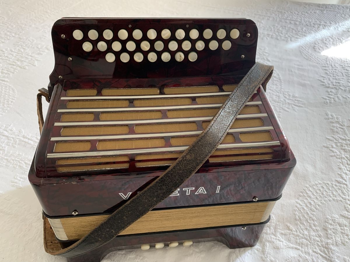 Hohner Strumenti musicali: Diatonische Handorgel/Concertina Sol – Usato da Zürich venduto da Olimpied 7