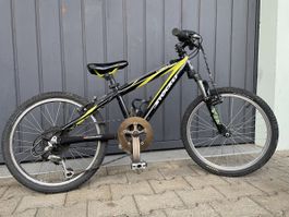 Kinder Velo Stockli Cobalt 20 Zoll gebraucht