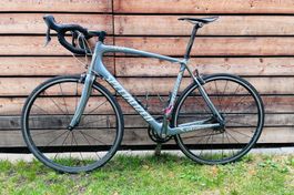 Specialized Tarmac Rennrad (Jahrgang 2009)