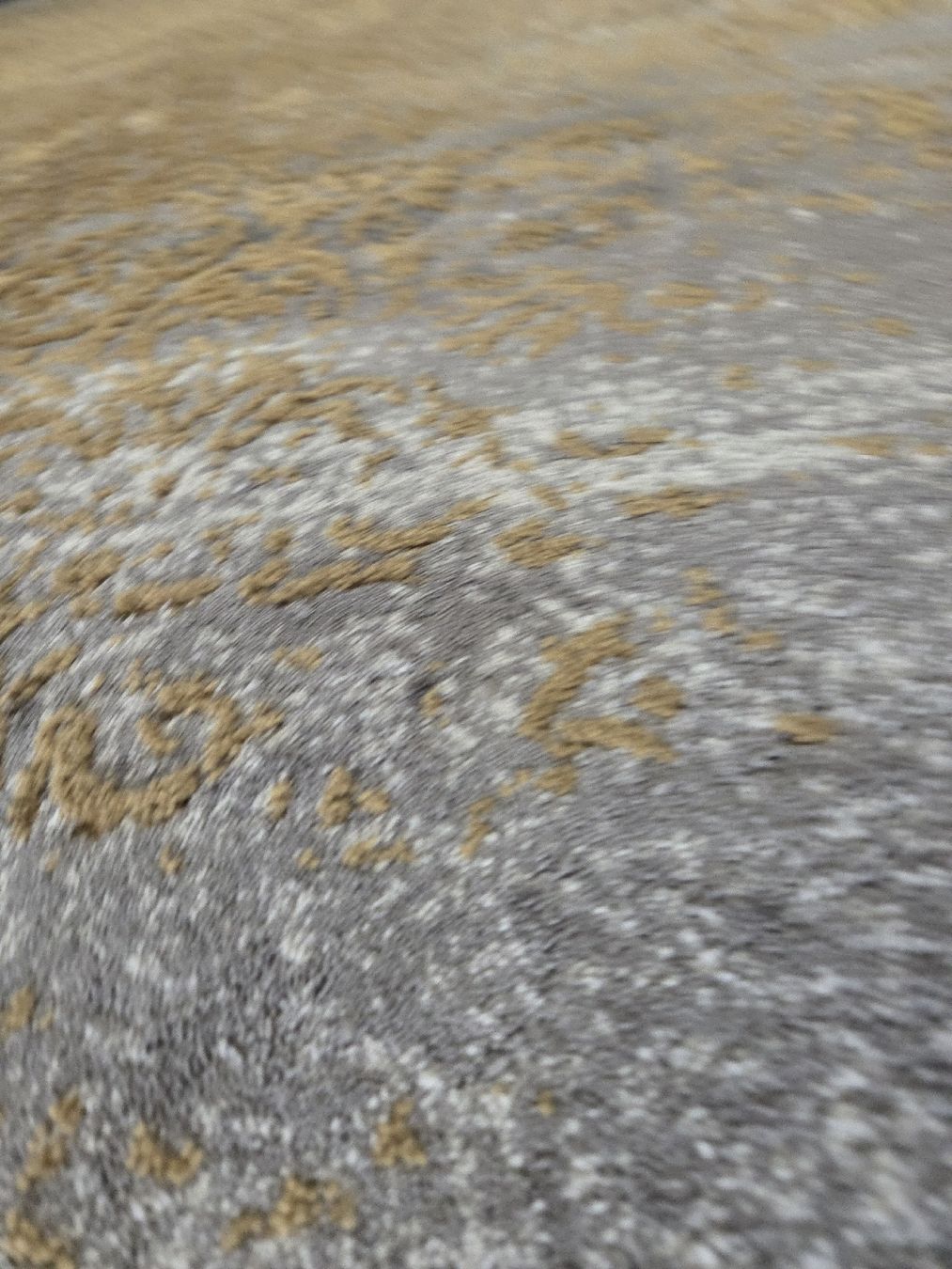 Tappeti: Moderner Teppich, Grau/Gold, 2.3x1.6m – Usato da Bülach venduto da Shyro2000 3