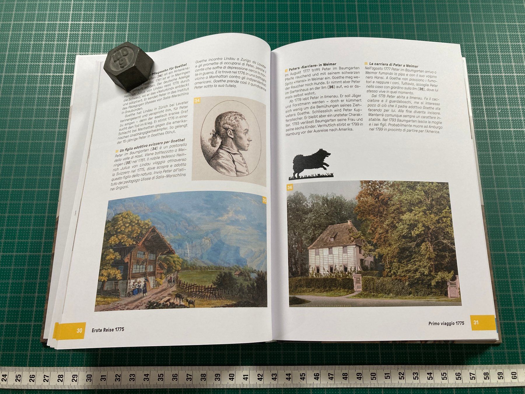 Bücher: Goethe am Gotthard - Museo Sasso San Gottardo – Gebraucht aus Lenzburg von fh1 5