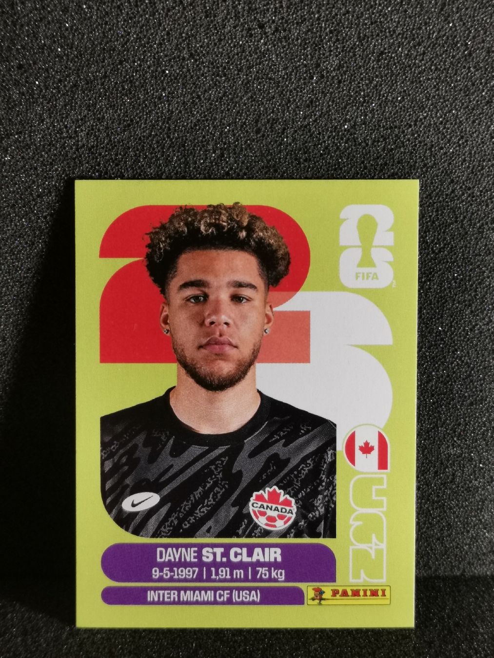 Panini Carte collezionabili: Panini Wm 2026 Sticker : Dayne St. Clair Can 2 – Usato da Einsiedeln venduto da sza_588x