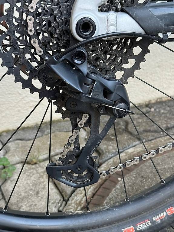 Biciclette: Propoain Tyee AL 29 XL – Usato da Domat/Ems venduto da Andri241 1