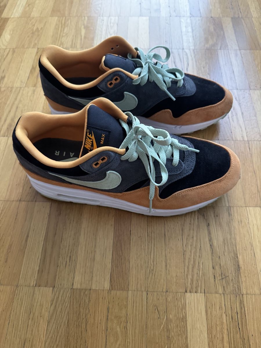 Nike Herrenschuhe: Nike Air Max 1 PRM Duck, 45.5 – Gebraucht aus Zürich von And1_G